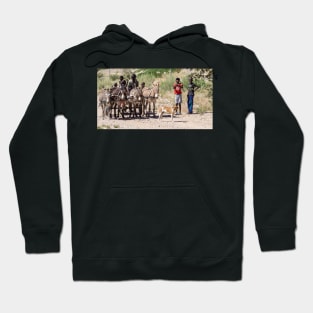 Donkey cart. Hoodie